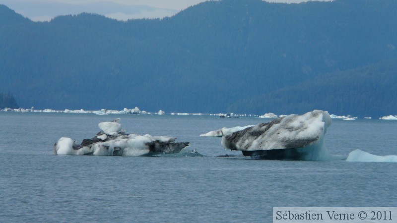 Columbia  bay, Columbia glacier, Prince William sound cruise, Alaska