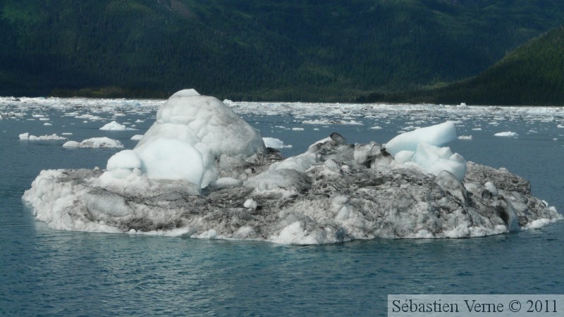 Columbia  bay, Columbia glacier, Prince William sound cruise, Alaska