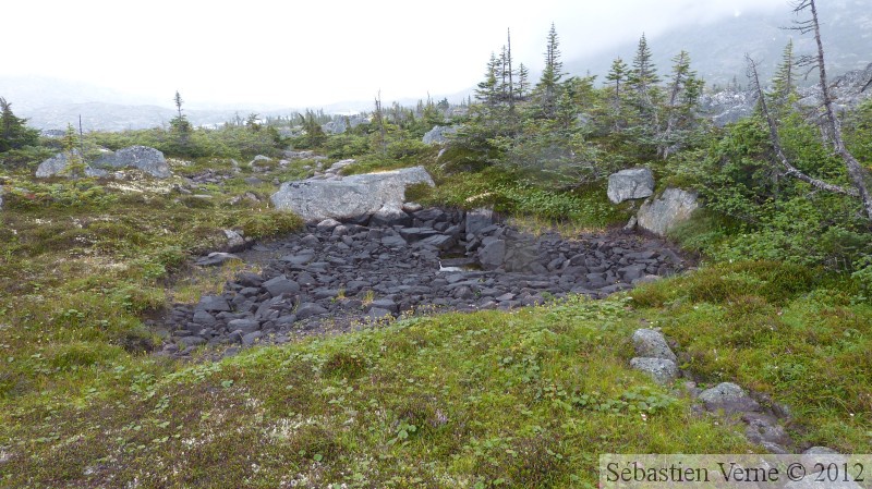 Summit Creek, White Pass area, Colombie Britannique