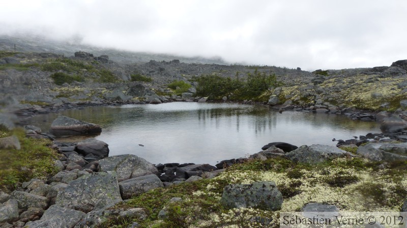 Summit Creek, White Pass area, Colombie Britannique