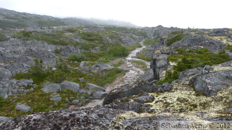 Summit Creek, White Pass area, Colombie Britannique