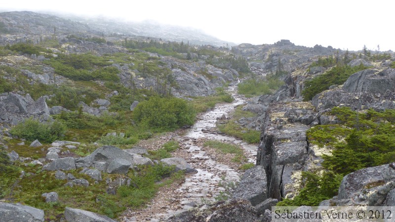 Summit Creek, White Pass area, Colombie Britannique