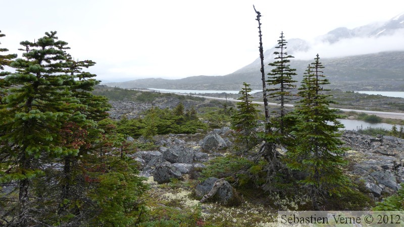 Summit Creek, White Pass area, Colombie Britannique