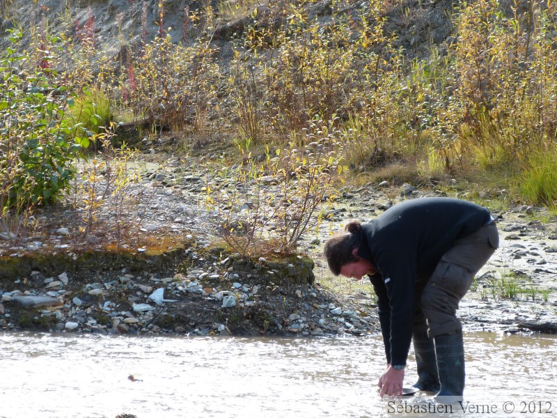 Allez, avec un peu de chance... Gold Bottom mine, Hunker Creek, Dawson City, Yukon, Canada